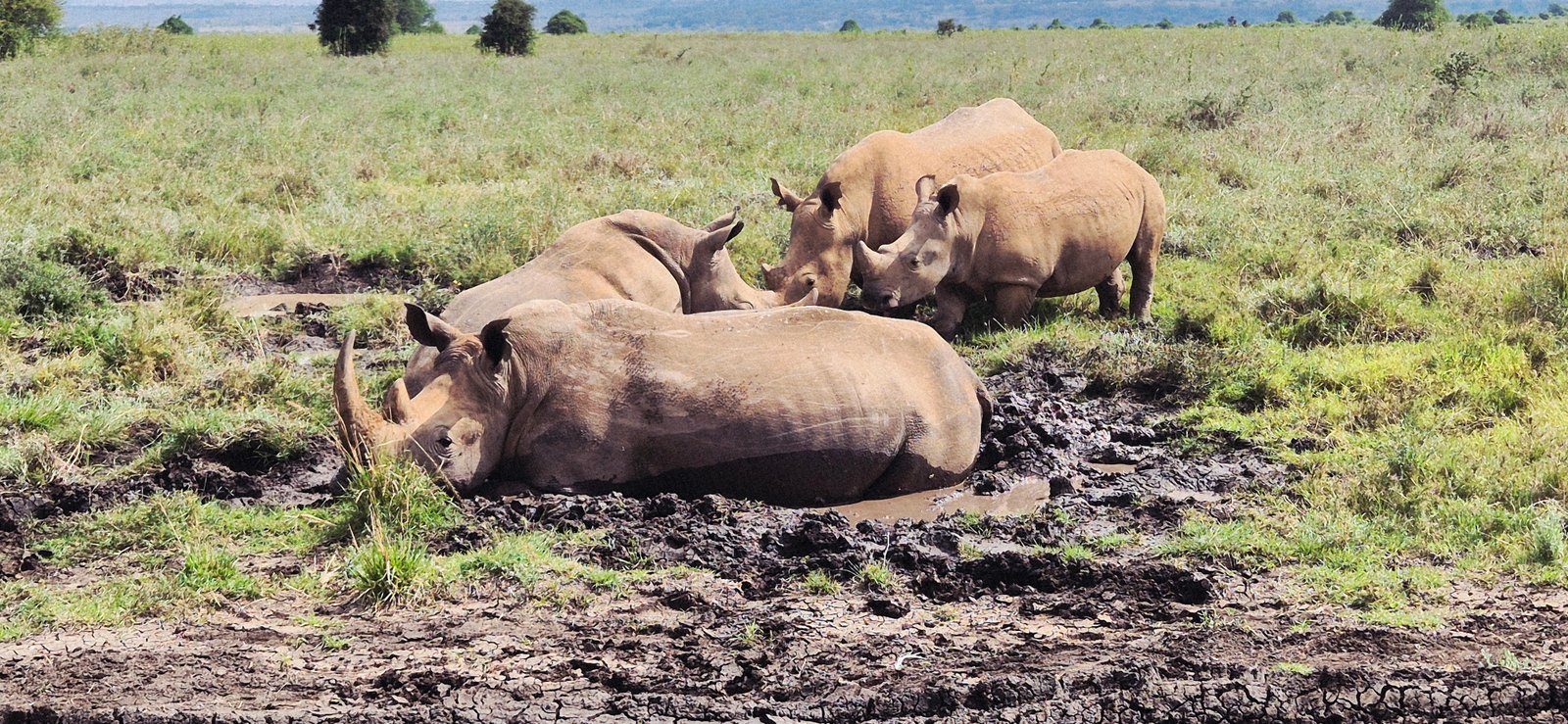 Nairobi National Park
