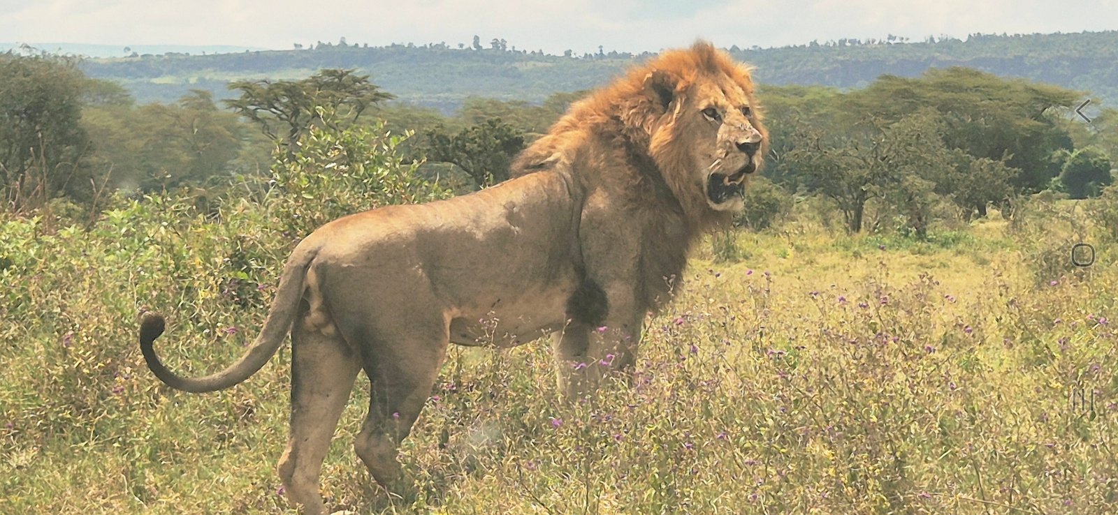 Lake Nakuru National Park